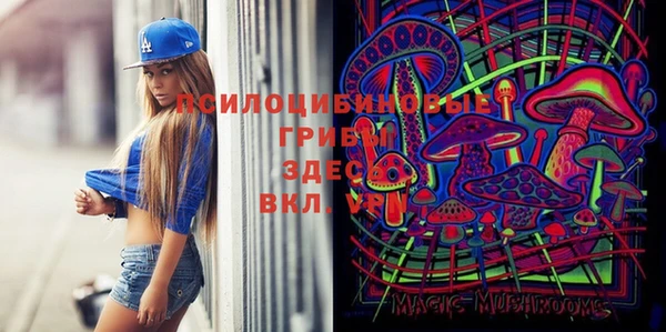 стафф Аркадак