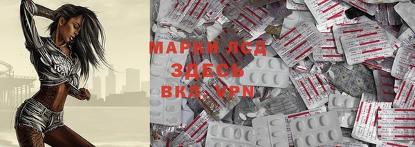 стафф Аркадак