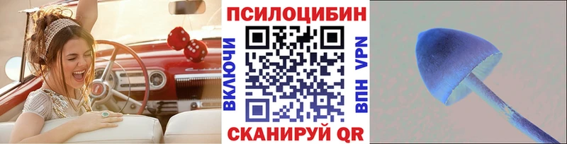 Псилоцибиновые грибы Cubensis  Талица 